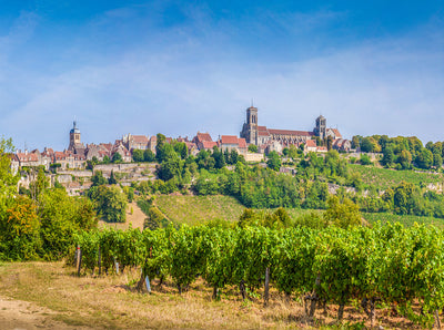 Breaking Down the Biggest Myths About Burgundy