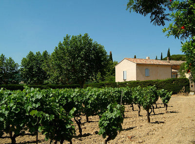 Producers We Love: Domaine Tempier