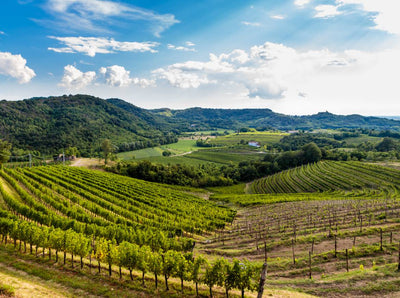 Everything You Need to Know About Friuli