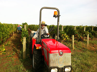 Three Producers Making Good Wine from Classic Grapes In Not-So-Classic Regions