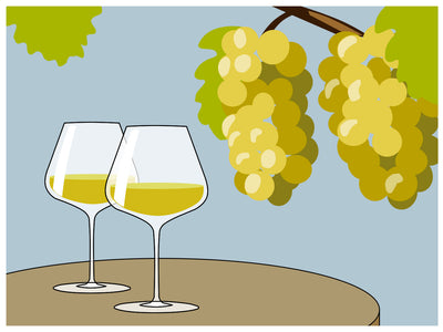 Chardonnay Around the World: Domestic Favorites & Beyond