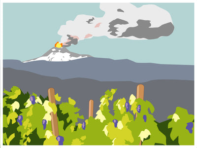 A Primer On Volcanic Wine