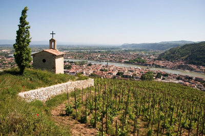 A Guide To Our Favorite Rhone Producers