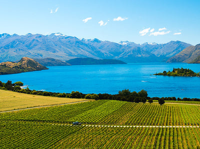 Everything You Need to Know About New Zealand