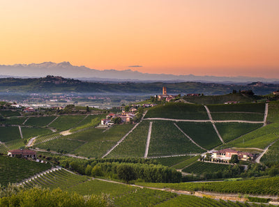 Get to Know Piedmont, Home to World Class Nebbiolo