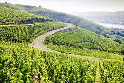 Discover France's Rhône Valley - North vs. South