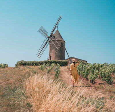 Beaujolais Month