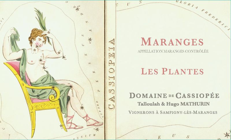 Domaine de Cassiopee Maranges Blanc &