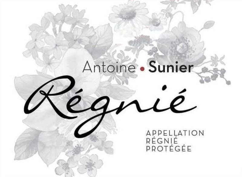 Antoine Sunier Regnie 2023