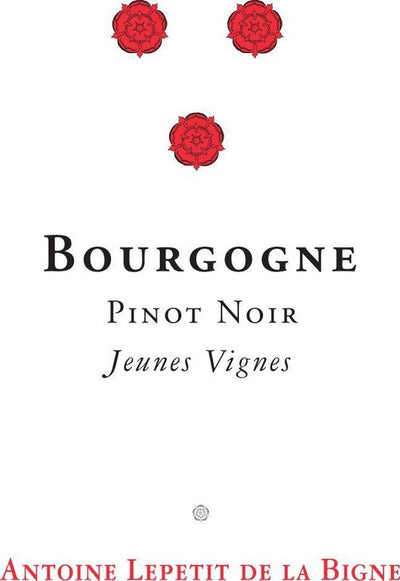 Uploaded via GraphQL script