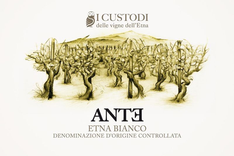 I Custodi Etna Bianco &