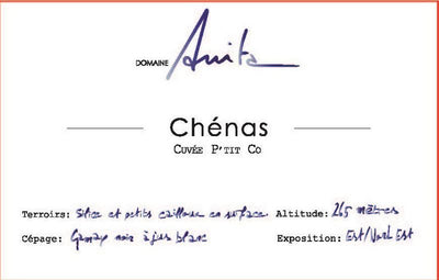 Domaine Anita Chenas 'P’tit Co' 2023