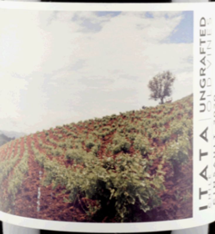 Ungrafted Cinsault Itata Valley 2022