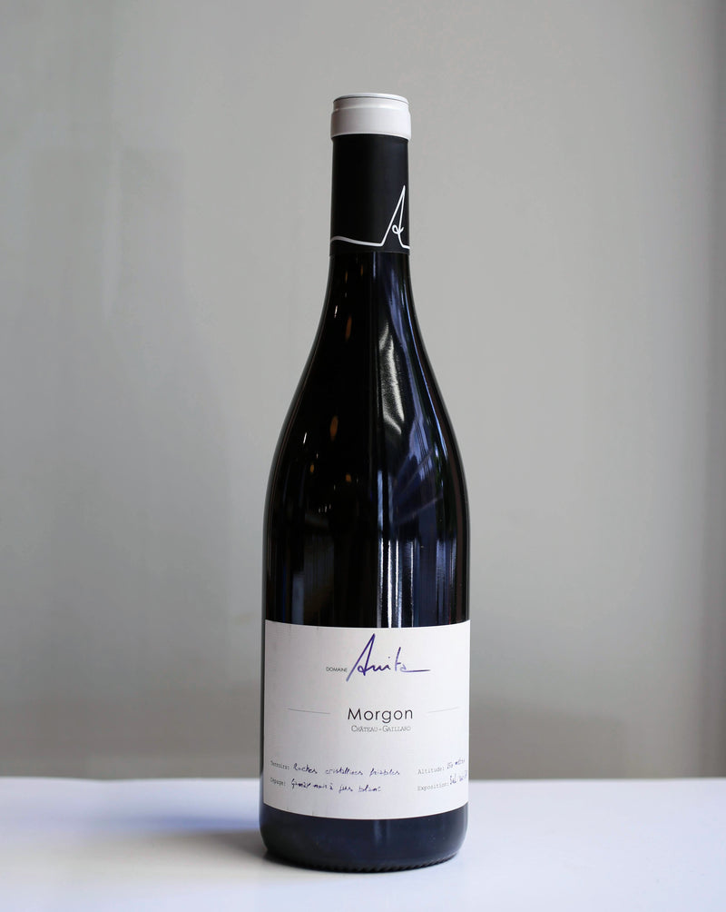 Domaine Anita Morgon Château-Gaillard 2022