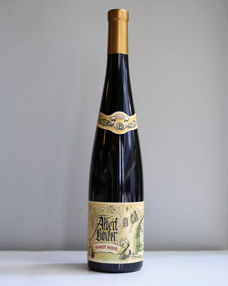 Albert Boxler Alsace Pinot Noir 2020