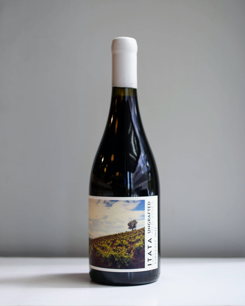 Ungrafted Cinsault Itata Valley 2022