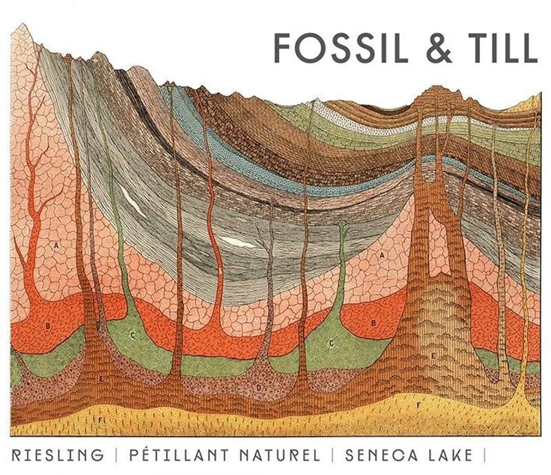 Fossil & Till Riesling Pet Nat Seneca Lake 2022