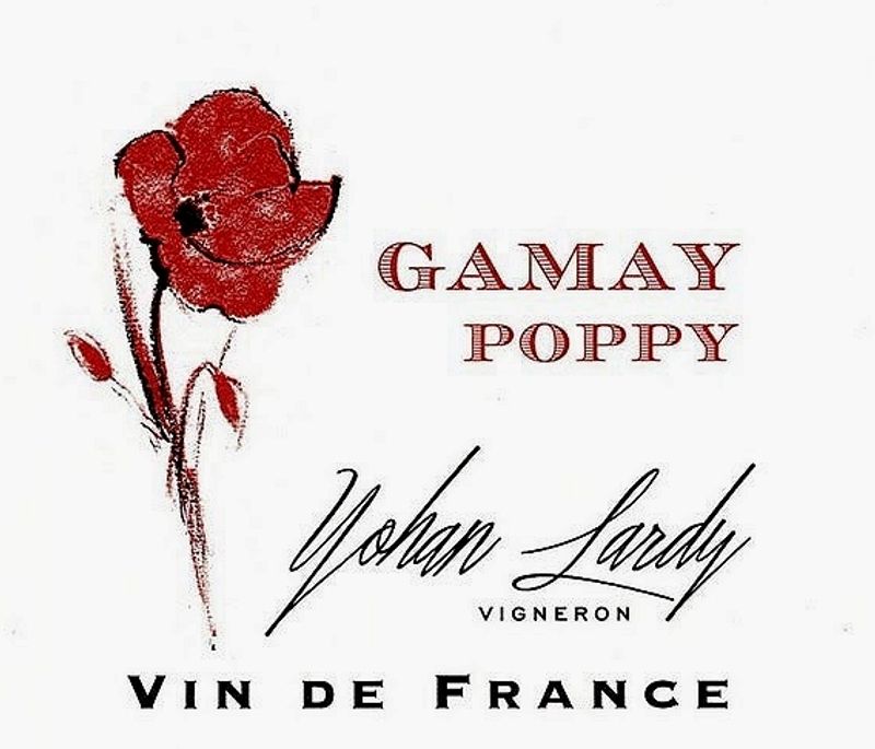 Yohan Lardy VdF Gamay &