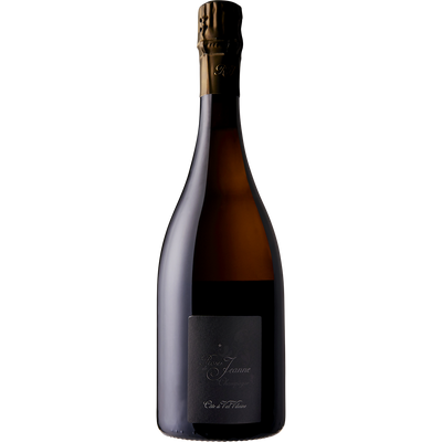 Bouchard Roses de Jeanne 'Val Vilaine' Blanc de Noirs Champagne [2017]-Wine-Verve Wine