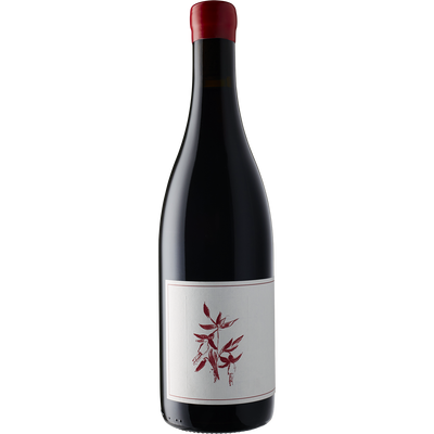 Arnot-Roberts Pinot Noir 'Legan Vineyard' Santa Cruz Mtns 2017-Wine-Verve Wine