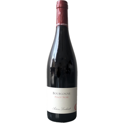 Antoine Lienhardt Bourgogne Rouge 2019-Wine-Verve Wine