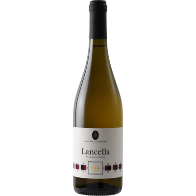 Cantina di Lisandro Terre del Volturno IGT Pallagrello Bianco 'Lancella' 2014-Wine-Verve Wine