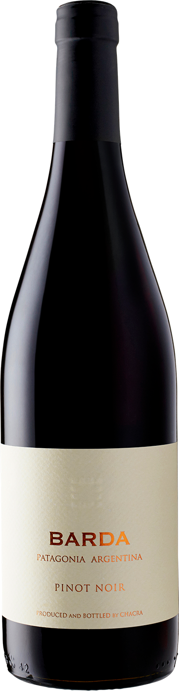 Pinot Noir Around The Globe - 4 Pack-Custom Bundle-Verve Wine