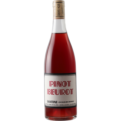 Santini Collective Bourgogne Hautes-Cotes de Beaune Rouge 'Pinot Beurot' 2018-Wine-Verve Wine