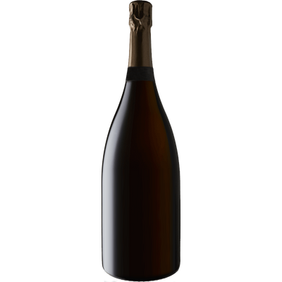 Marie Courtin 'Eloquence' Blanc de Blancs Extra Brut Champagne 2016-Wine-Verve Wine