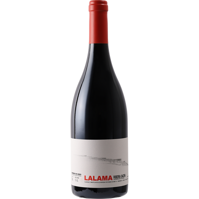 Dominio do Bibei Ribeira Sacra Mencia 'Lalama' 2013-Wine-Verve Wine