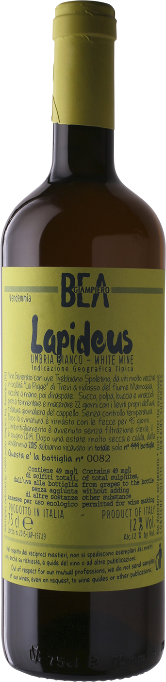 Paolo Bea Umbria Bianco 'Lapideus' 2019-Wine-Verve Wine
