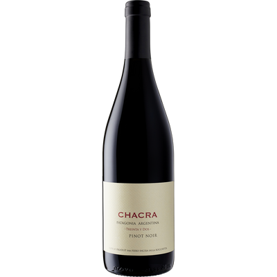 Chacra Pinot Noir 'Treinta y Dos' Rio Negro 2020-Wine-Verve Wine